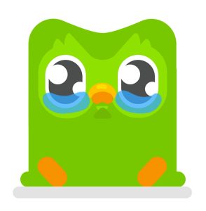 Sad Duolingo Owl