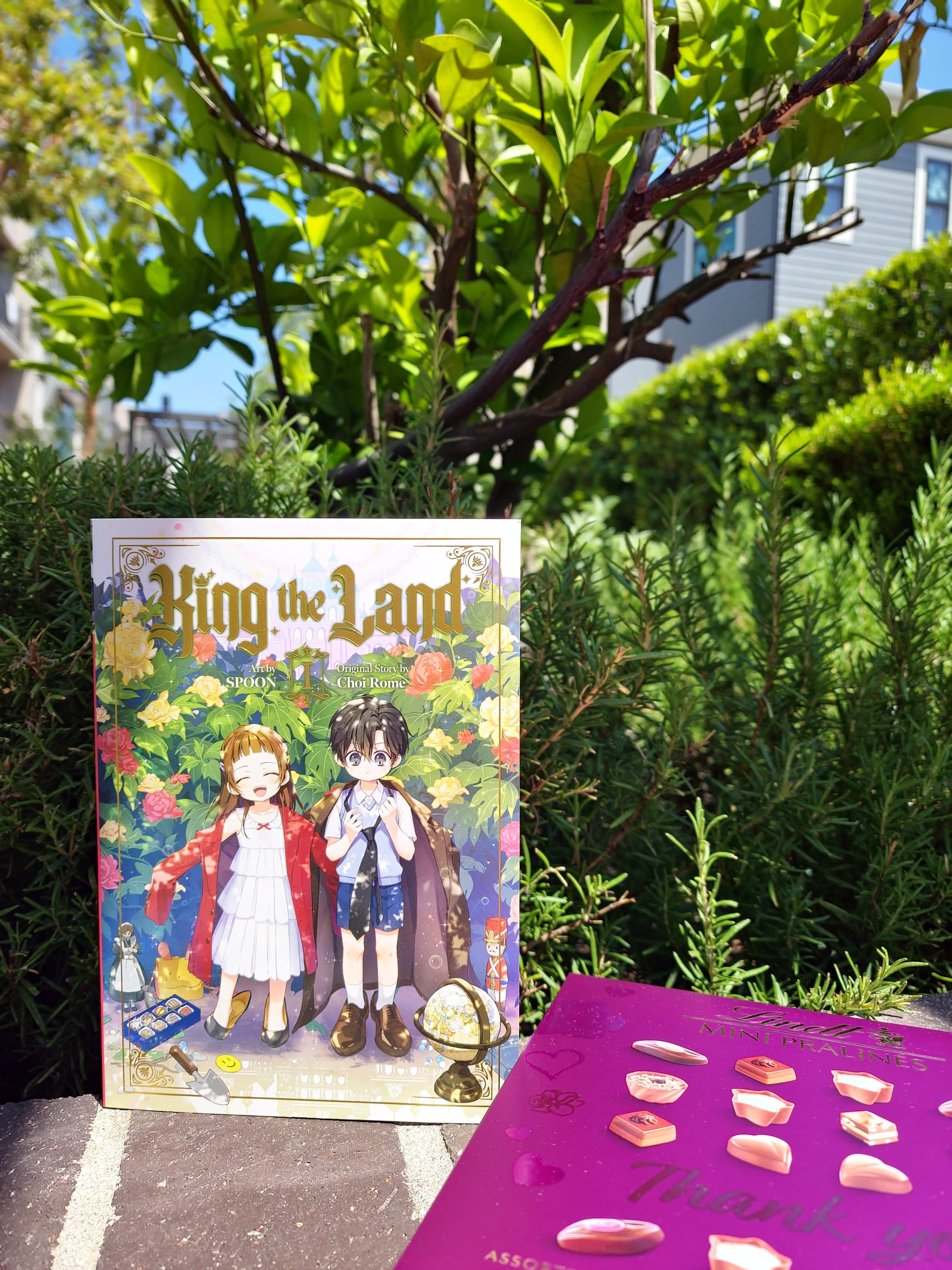 King the Land, Volume 1 | PC: Hayame Kawachi