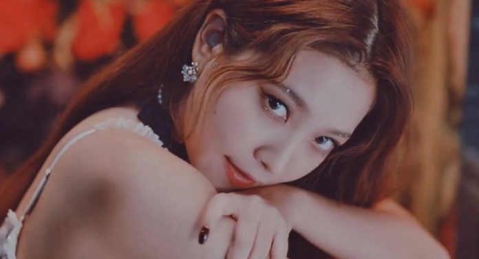 Red Velvet Yeri